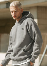 Ανδρικό μακρυμάνικο φούτερ Two Brothers - BF-25580-Grey regular fit