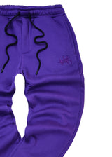 Ανδρική φόρμα με λάστιχο Two Brothers - BT-25590 - signature logo regular fit pants μωβ