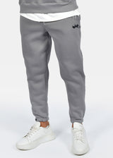 Ανδρική φόρμα με λάστιχο Two Brothers-BT-25590- signature logo regular fit pants γκρι