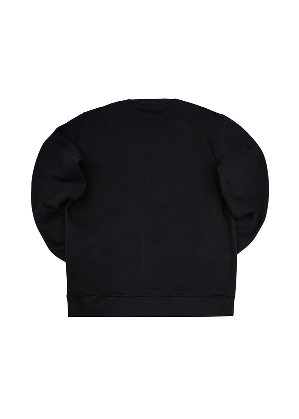 Ανδρικό μακρυμάνικο φούτερ Clever - CF-25300 - basic clever logo regular fit μαύρο