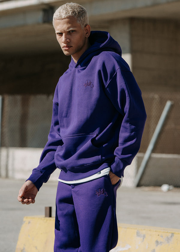 Ανδρικό μακρυμάνικο φούτερ Two Brothers - BF-25580-purple regular fit