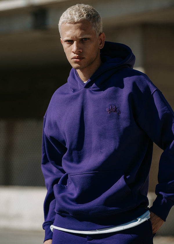 Ανδρικό μακρυμάνικο φούτερ Two Brothers - BF-25580-purple regular fit