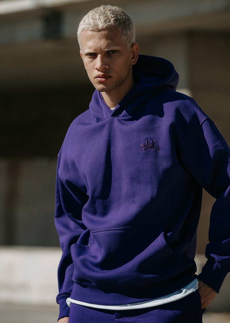 Ανδρικό μακρυμάνικο φούτερ Two Brothers - BF-25580-purple regular fit