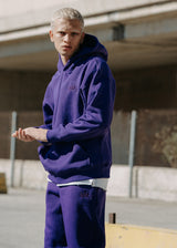 Ανδρικό μακρυμάνικο φούτερ Two Brothers - BF-25580-purple regular fit