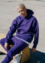 Ανδρικό μακρυμάνικο φούτερ Two Brothers - BF-25580-purple regular fit