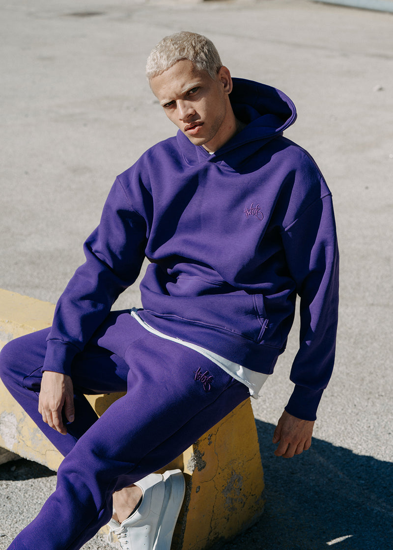 Ανδρικό μακρυμάνικο φούτερ Two Brothers - BF-25580-purple regular fit