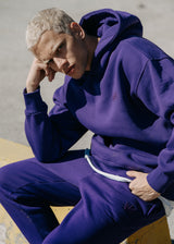 Ανδρικό μακρυμάνικο φούτερ Two Brothers - BF-25580-purple regular fit