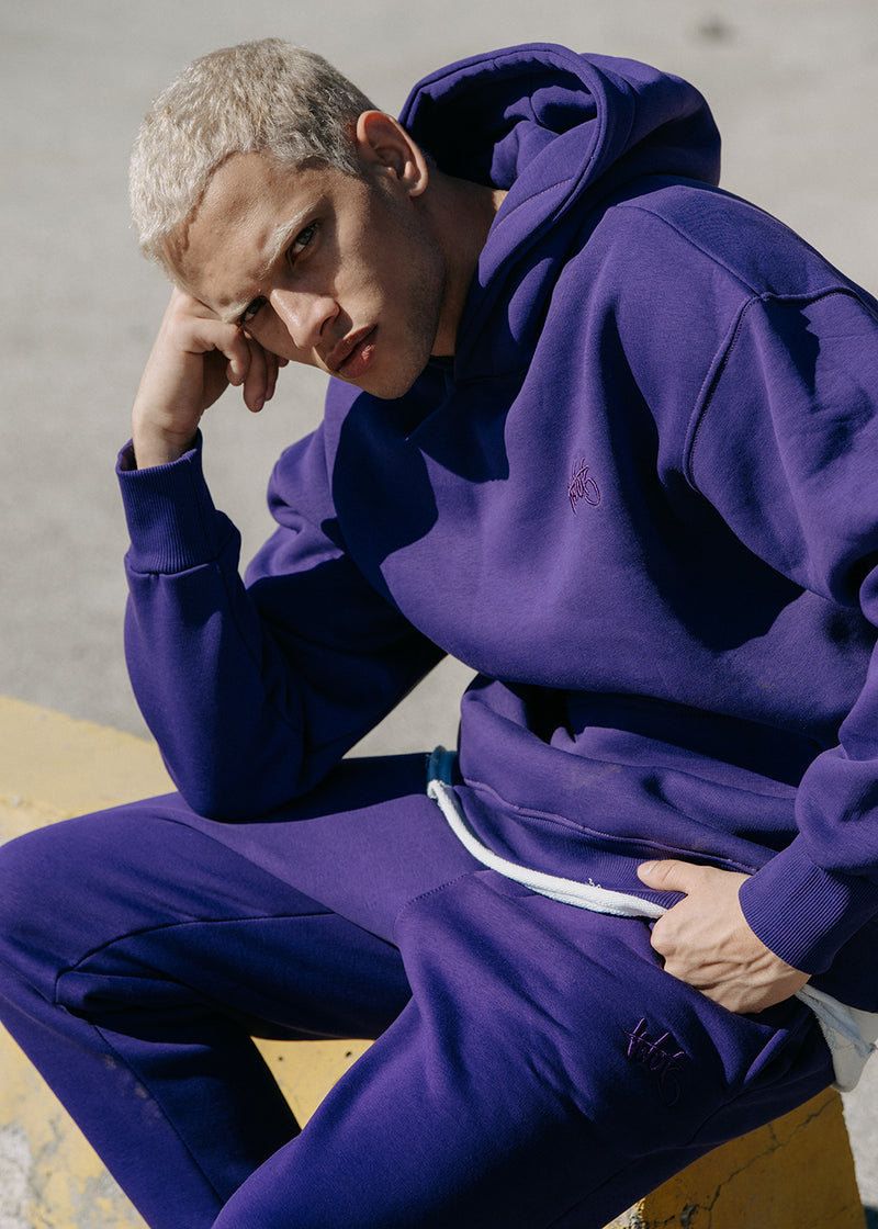 Ανδρικό μακρυμάνικο φούτερ Two Brothers - BF-25580-purple regular fit