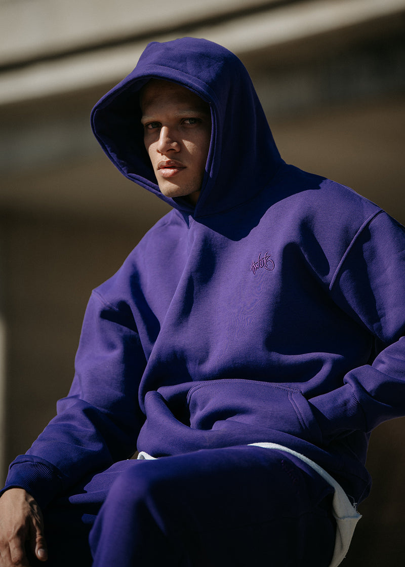 Ανδρικό μακρυμάνικο φούτερ Two Brothers - BF-25580-purple regular fit