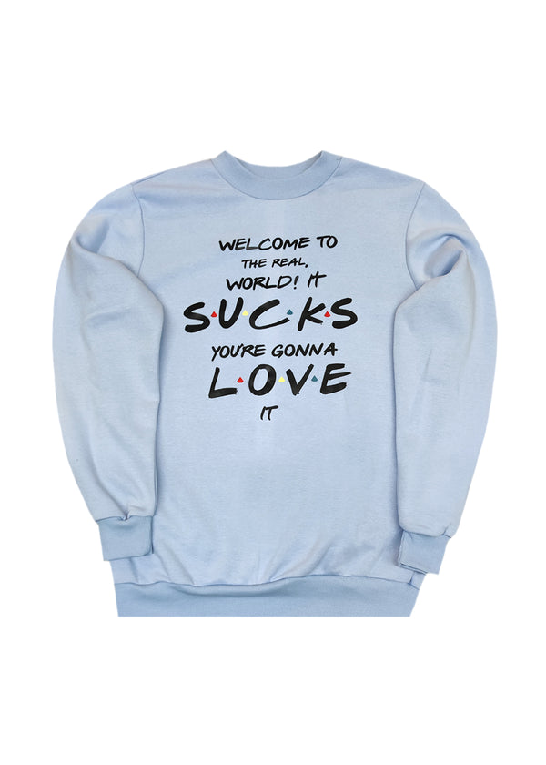 Ανδρικό μακρυμάνικο φούτερ Tony couper-S26/2-ciel Friends