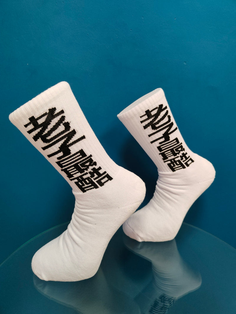 V-tex socks japanese - white